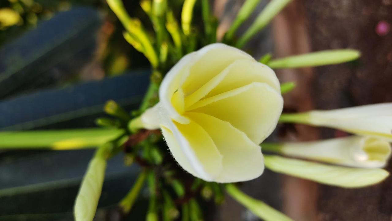 Kanthi Resorts Badami Bāgalkot Eksteriør billede